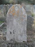 image of grave number 295290